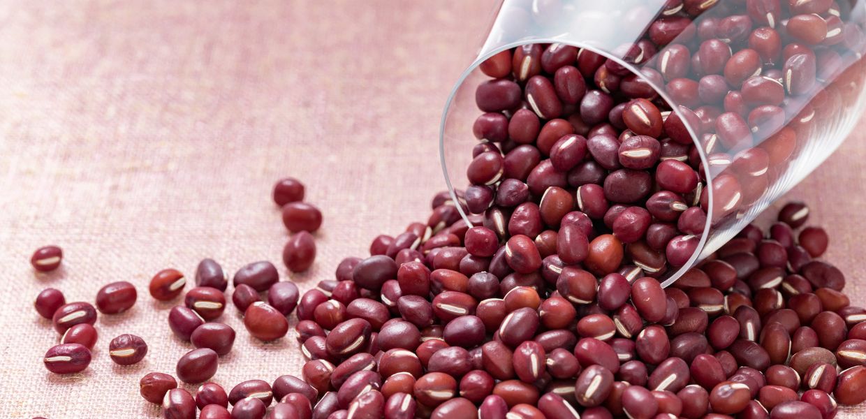 Top 15 Kidney Bean Substitutes [ Nutrition & Cooking Guide]