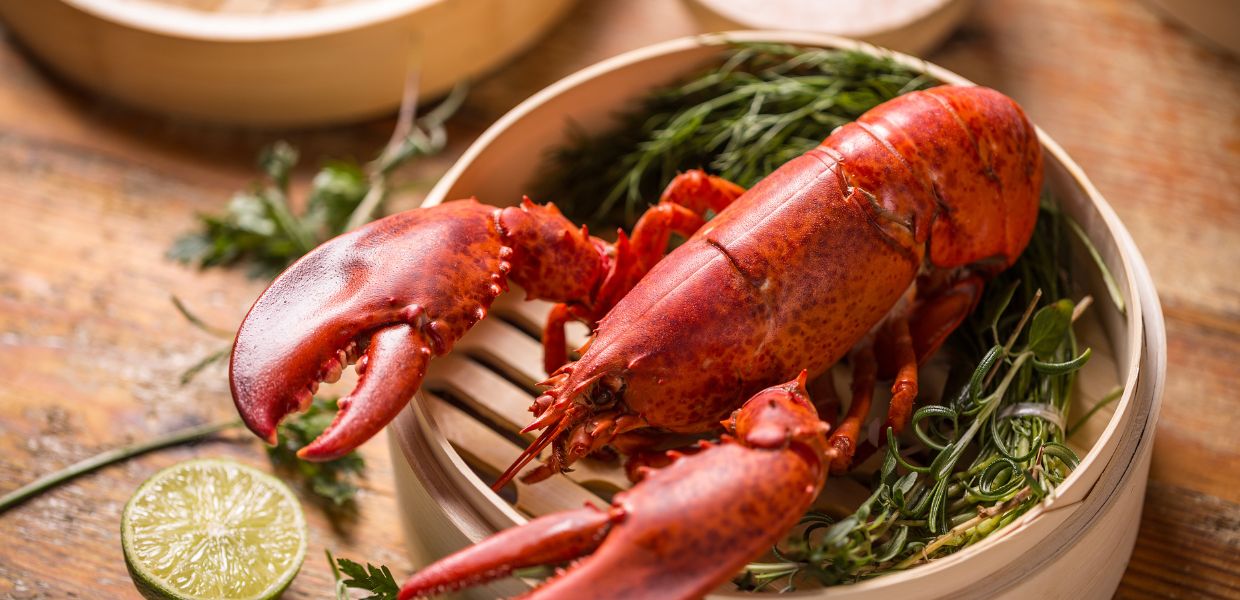 Lobster Lover's Dream
